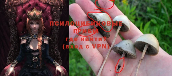 мет Абаза