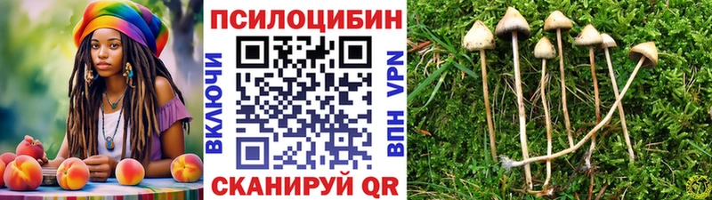 Псилоцибиновые грибы прущие грибы  блэк спрут tor  Калач 
